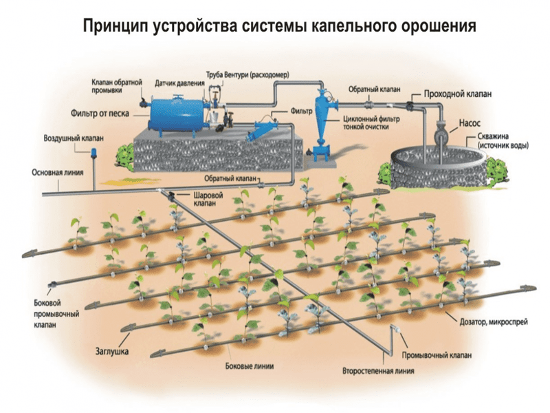 Как снизить жесткость воды из скважины для полива огорода